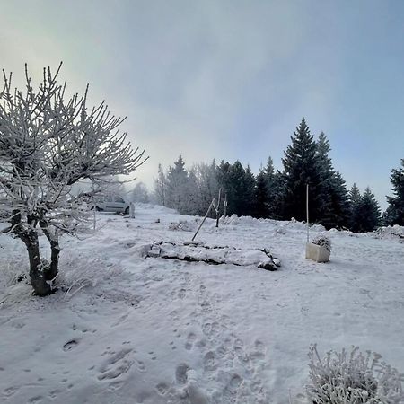 The Edelweiss- Renovated Studio For 4 People! Chamrousse Exterior photo